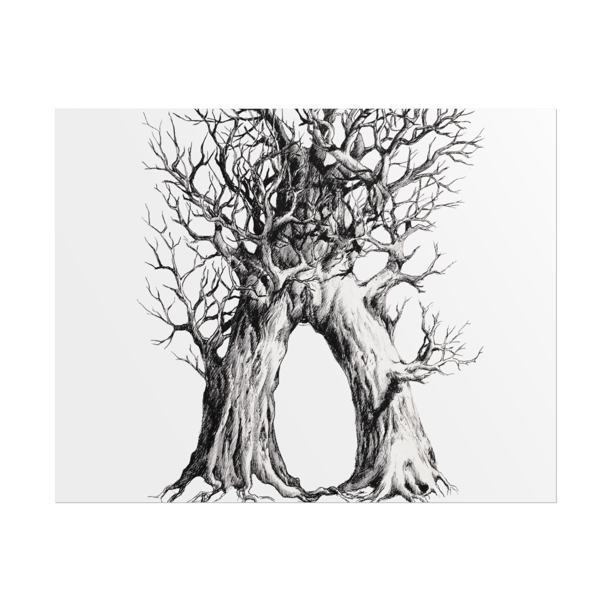 Tree Arch Illustration poster | Hand-drawn black ink botanical art