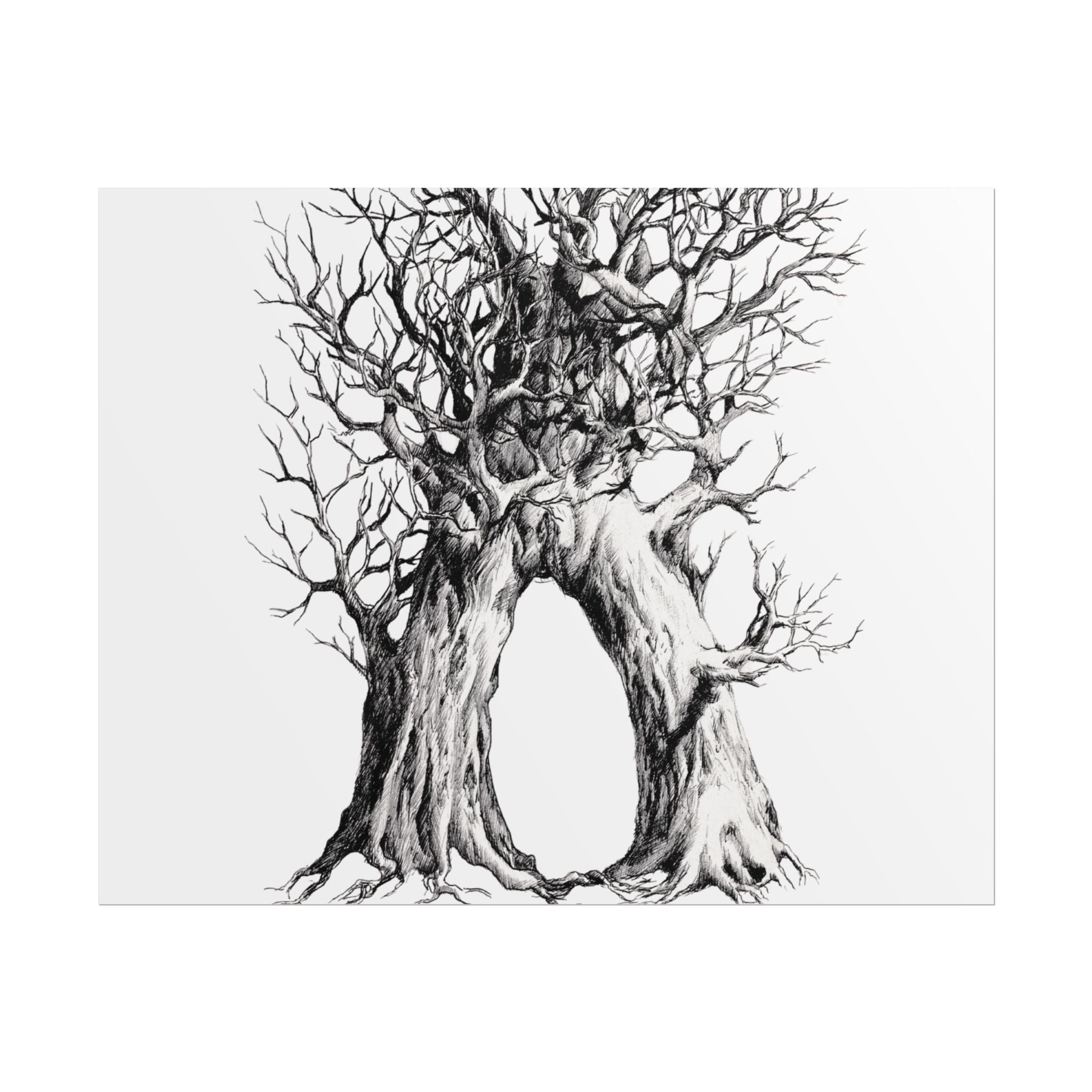 Tree Arch Illustration poster | Hand-drawn black ink botanical art