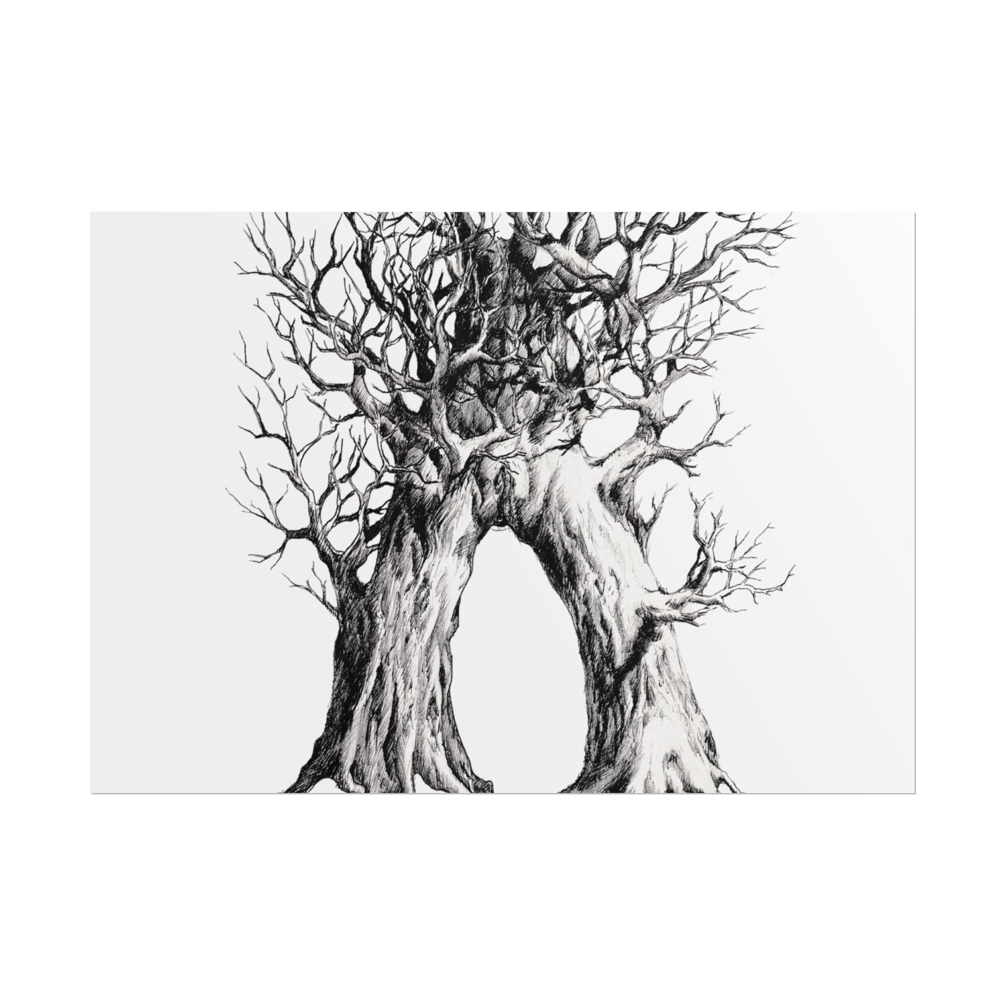 Tree Arch Illustration poster | Hand-drawn black ink botanical art