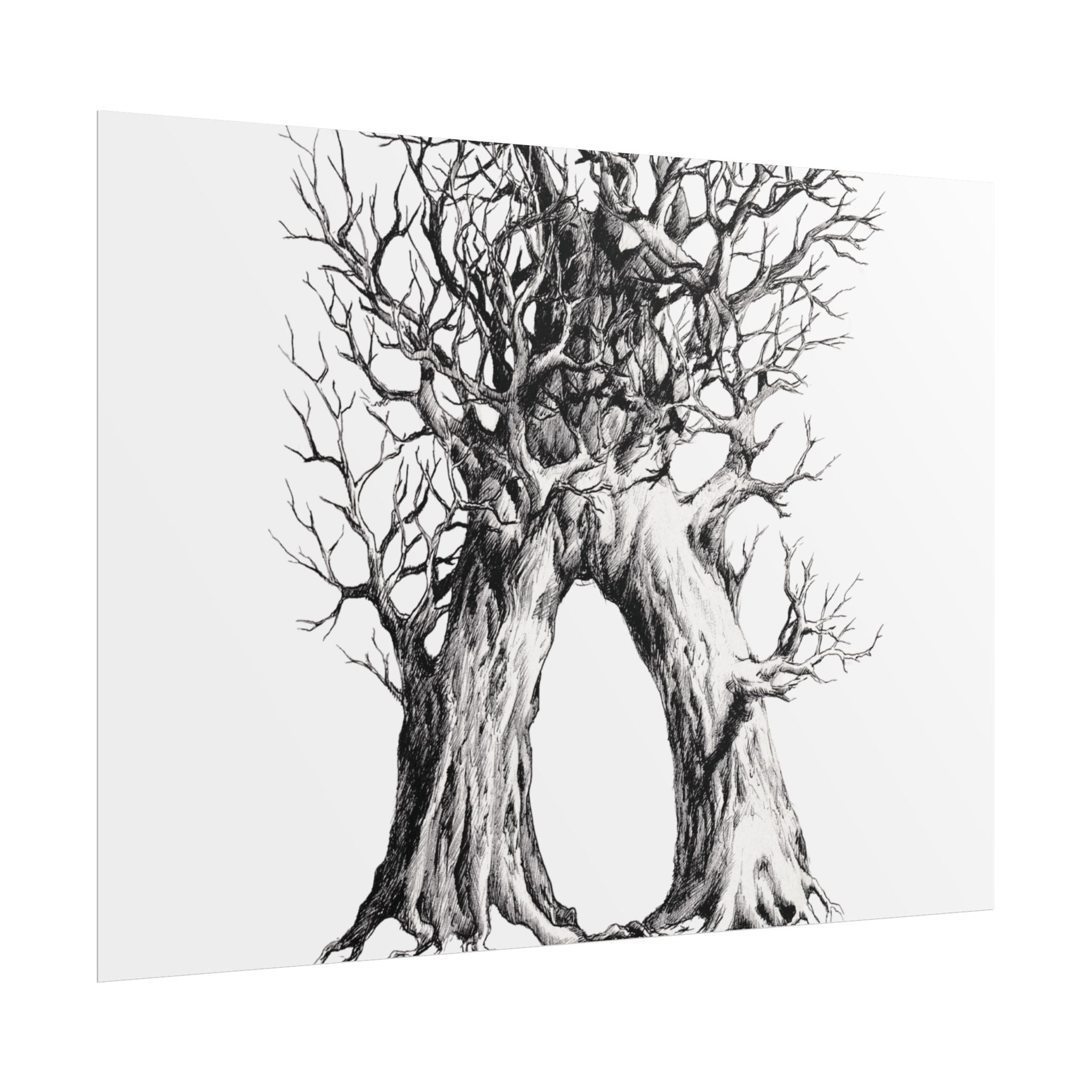 Tree Arch Illustration poster | Hand-drawn black ink botanical art