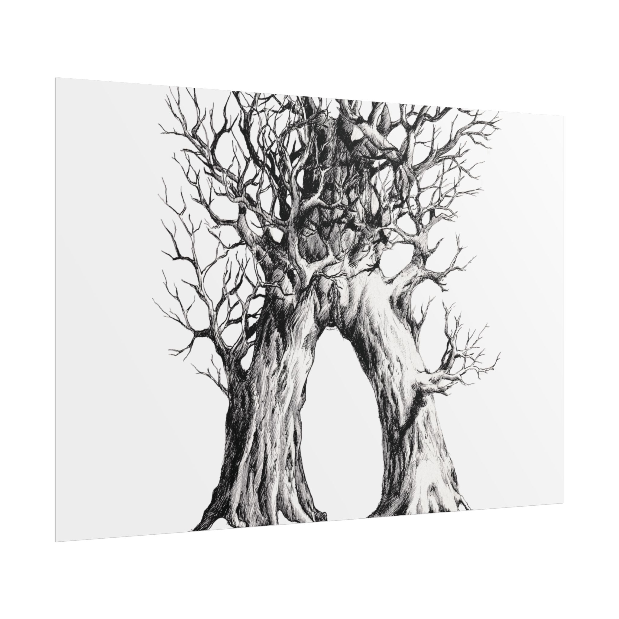 Tree Arch Illustration poster | Hand-drawn black ink botanical art