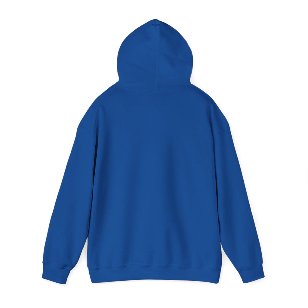Sunny Retro Sunburst Hoodie | summer aesthetic, coastal vibes
