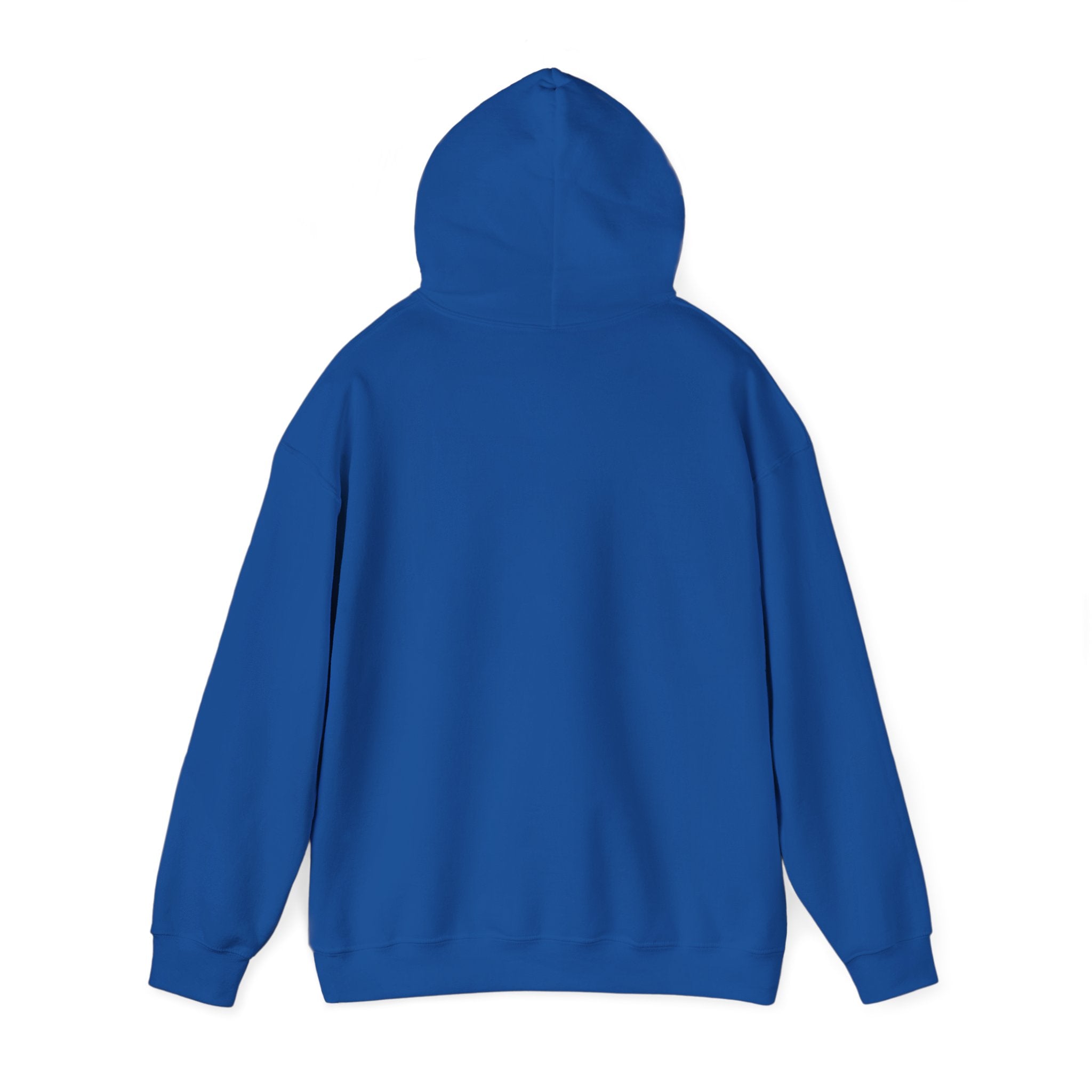 Sunny Retro Sunburst Hoodie | summer aesthetic, coastal vibes