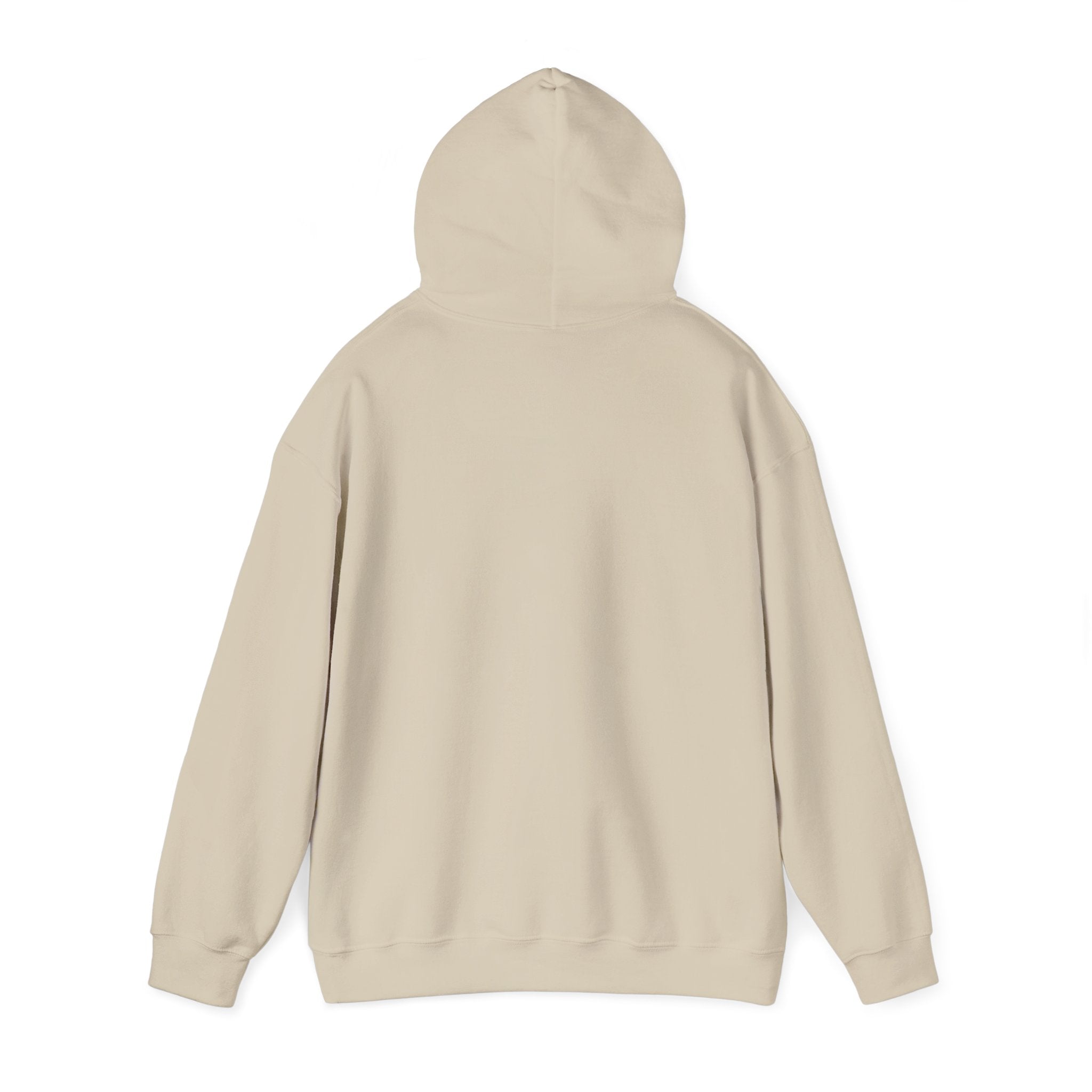 Sunny Retro Sunburst Hoodie | summer aesthetic, coastal vibes