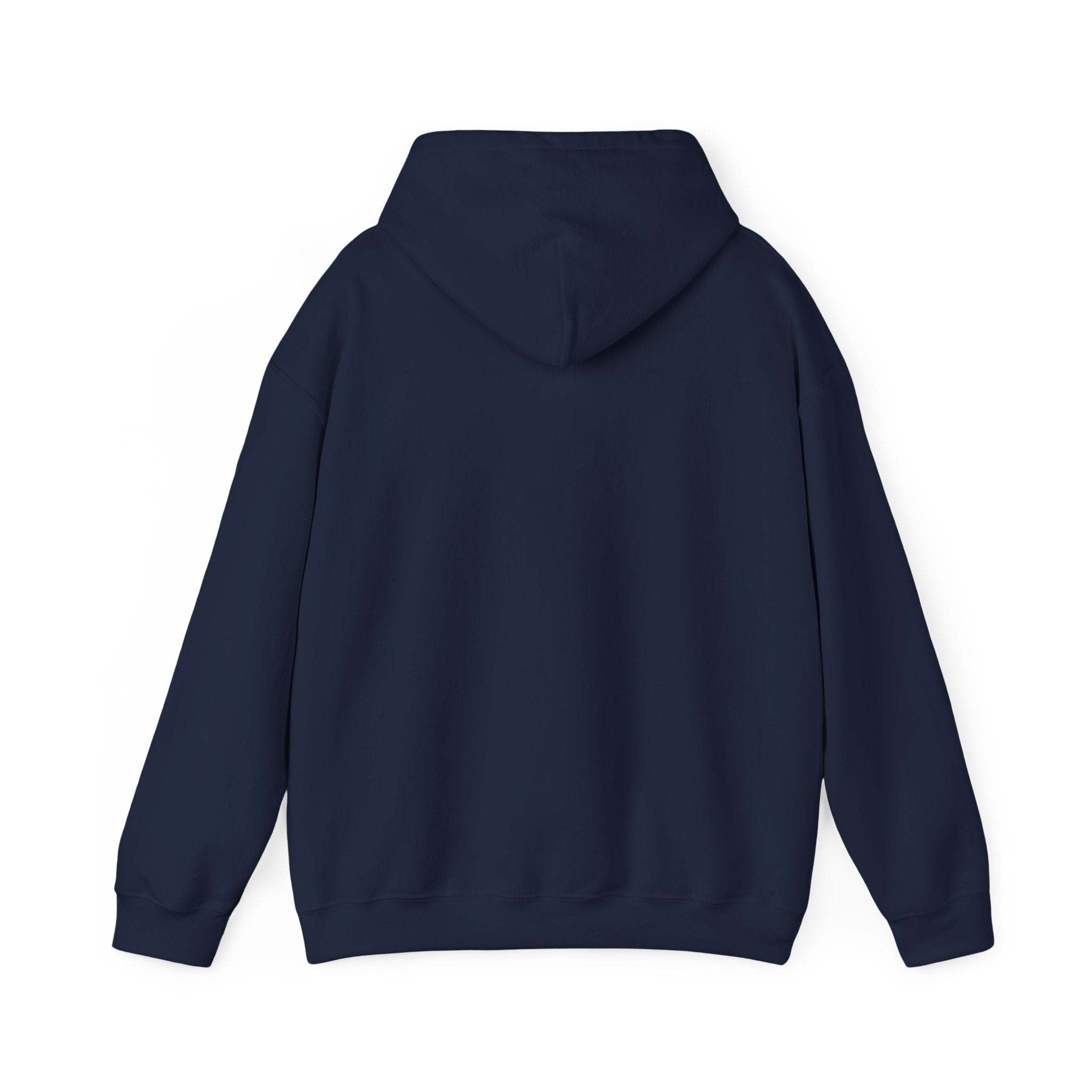 Sunny Retro Sunburst Hoodie | summer aesthetic, coastal vibes