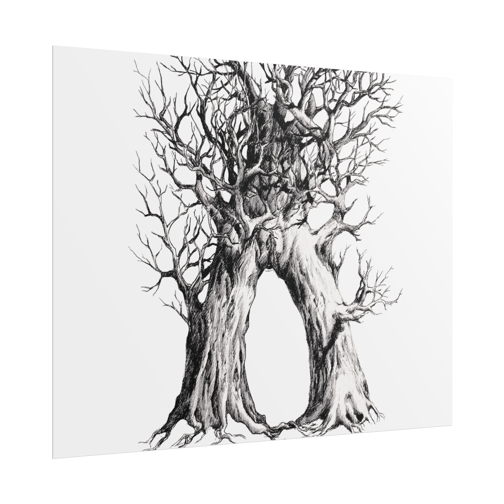 Tree Arch Illustration poster | Hand-drawn black ink botanical art