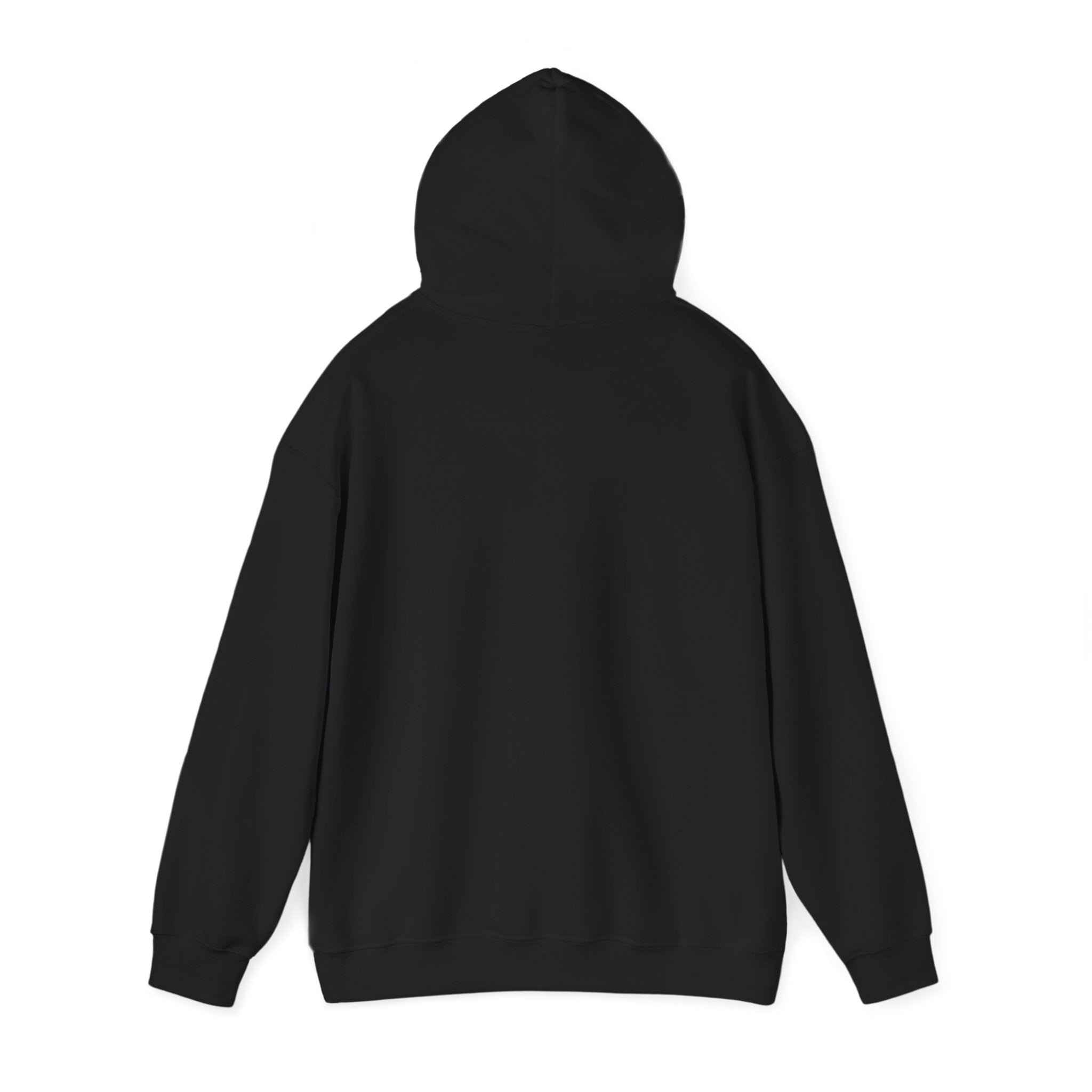 Sunny Retro Sunburst Hoodie | summer aesthetic, coastal vibes