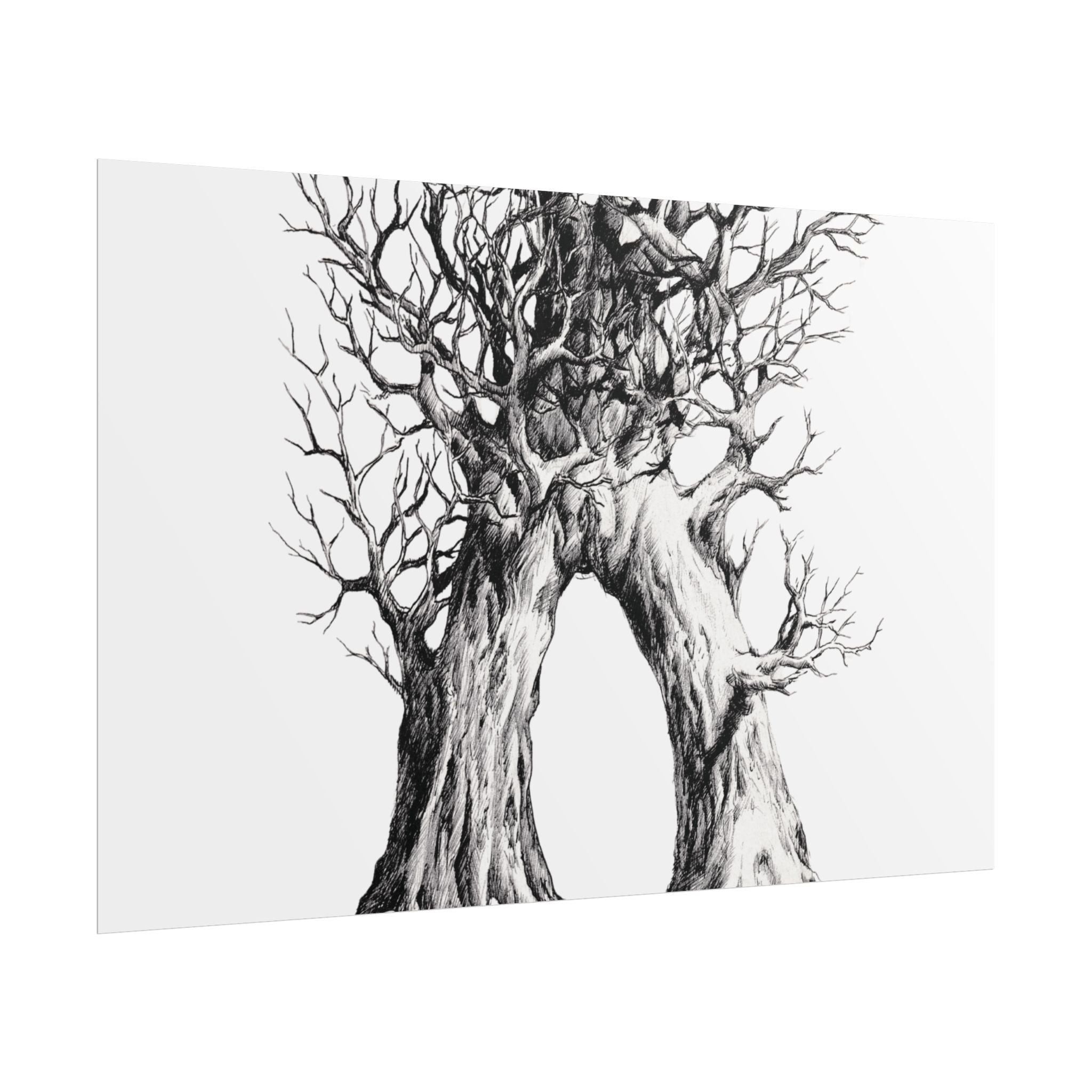 Tree Arch Illustration poster | Hand-drawn black ink botanical art
