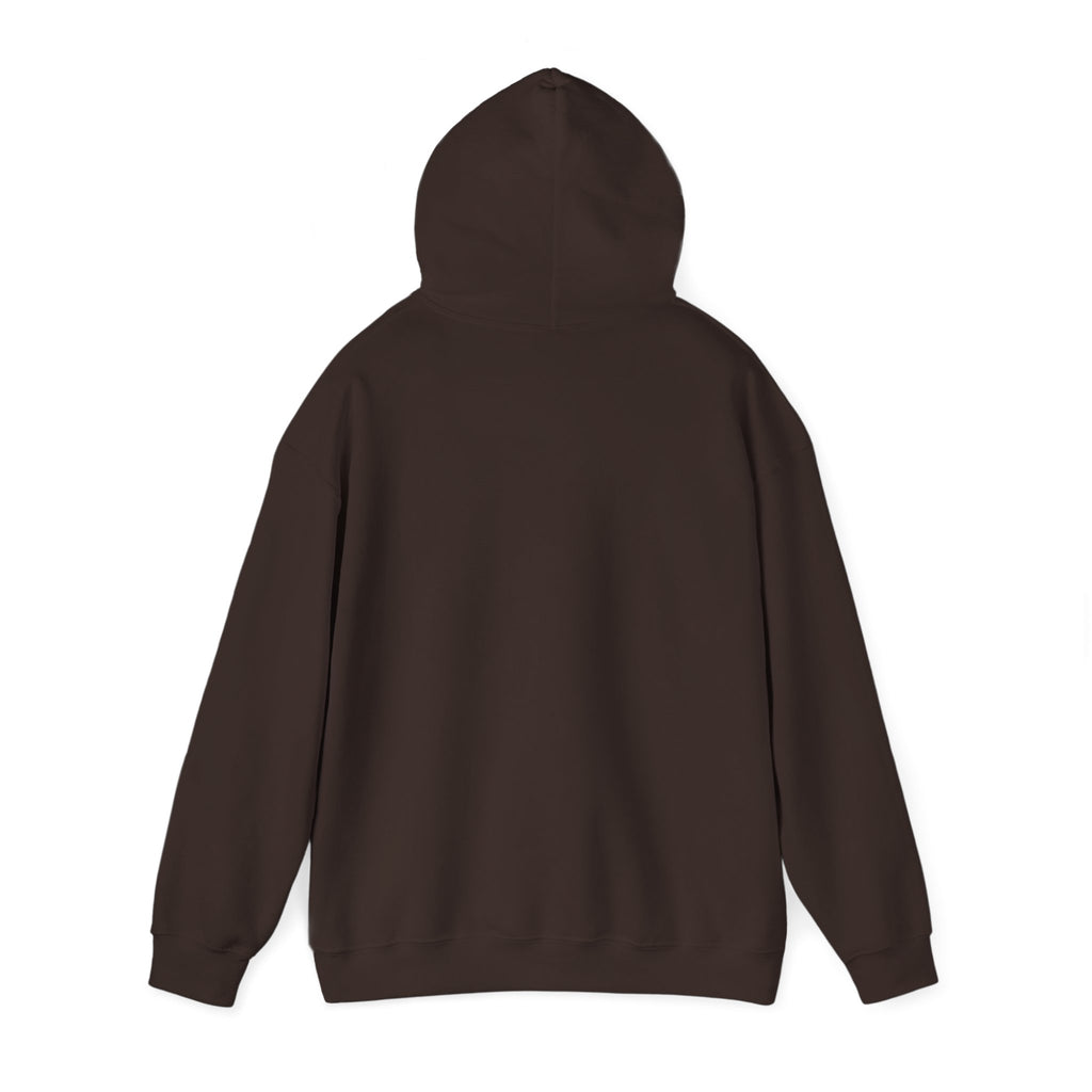 Sunny Retro Sunburst Hoodie | summer aesthetic, coastal vibes