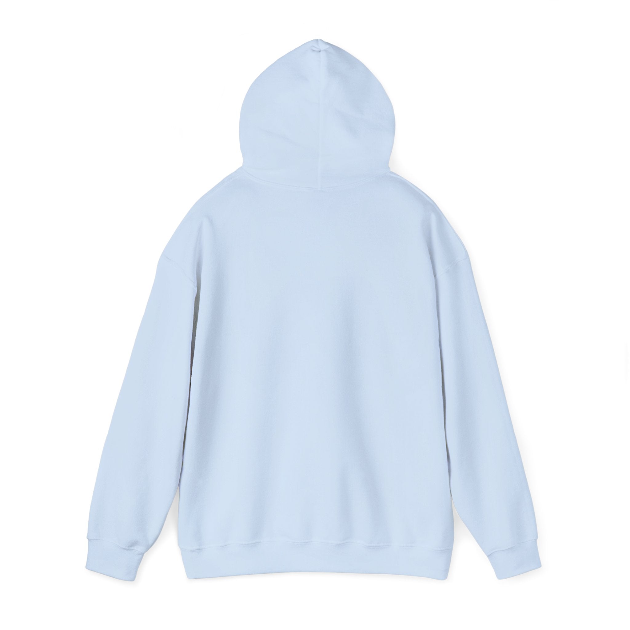 Sunny Retro Sunburst Hoodie | summer aesthetic, coastal vibes