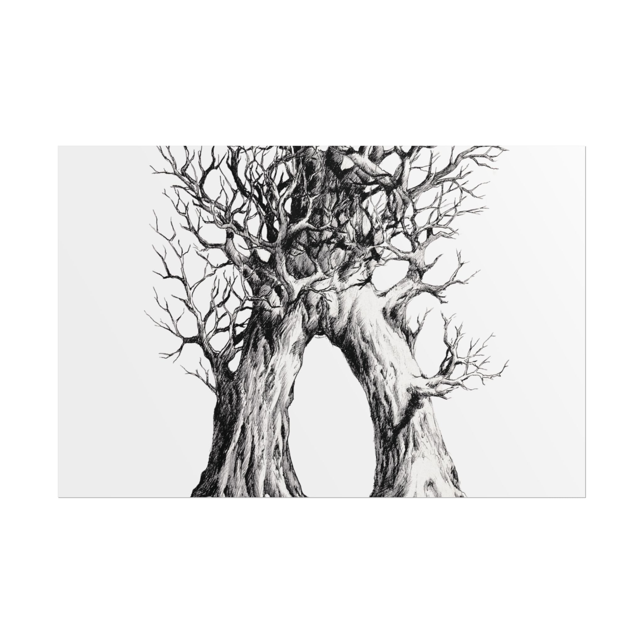 Tree Arch Illustration poster | Hand-drawn black ink botanical art