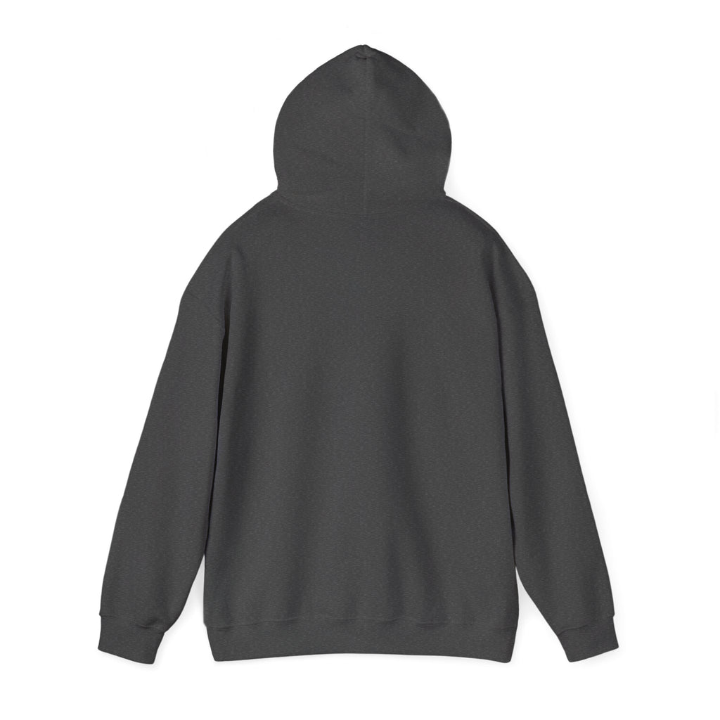 Sunny Retro Sunburst Hoodie | summer aesthetic, coastal vibes