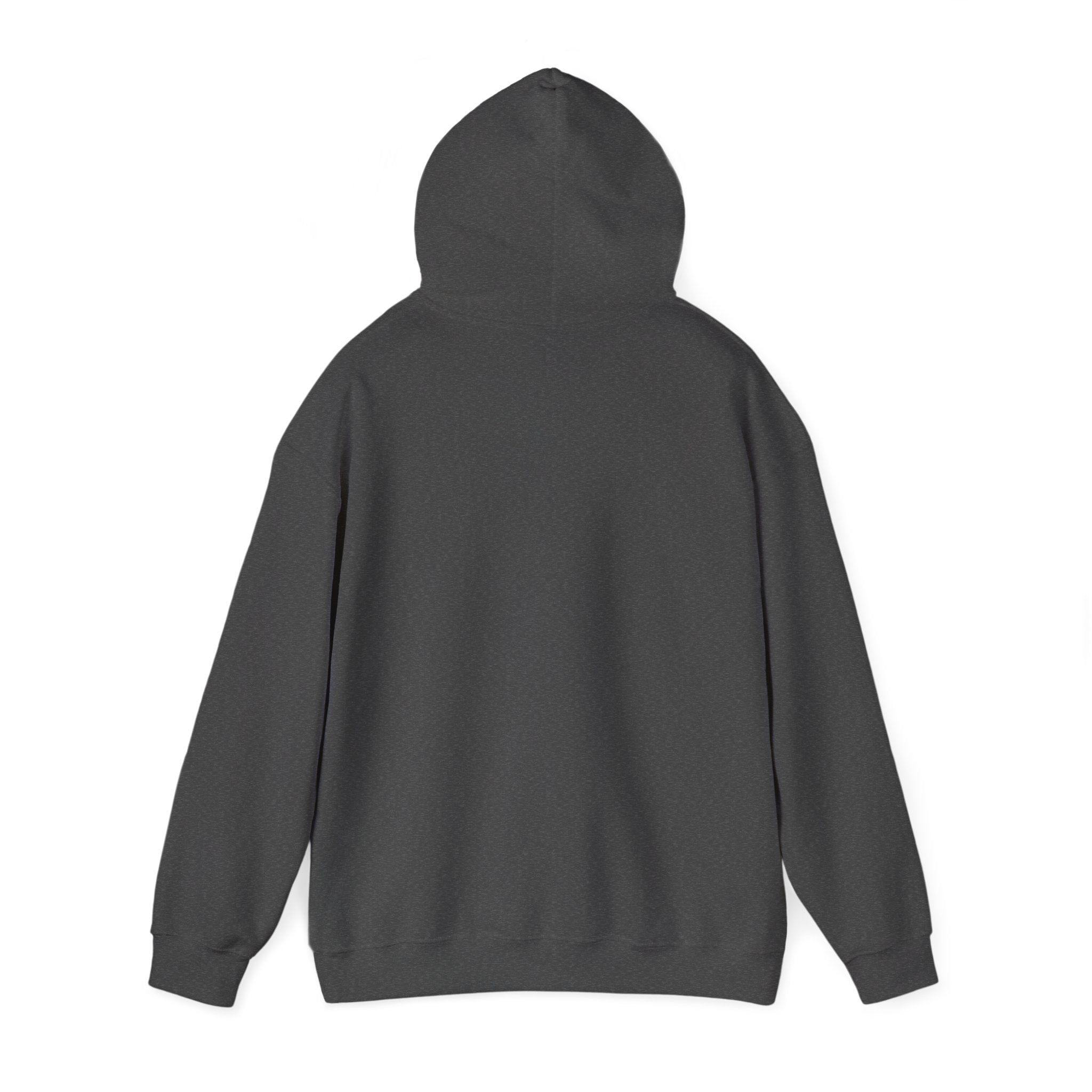 Sunny Retro Sunburst Hoodie | summer aesthetic, coastal vibes