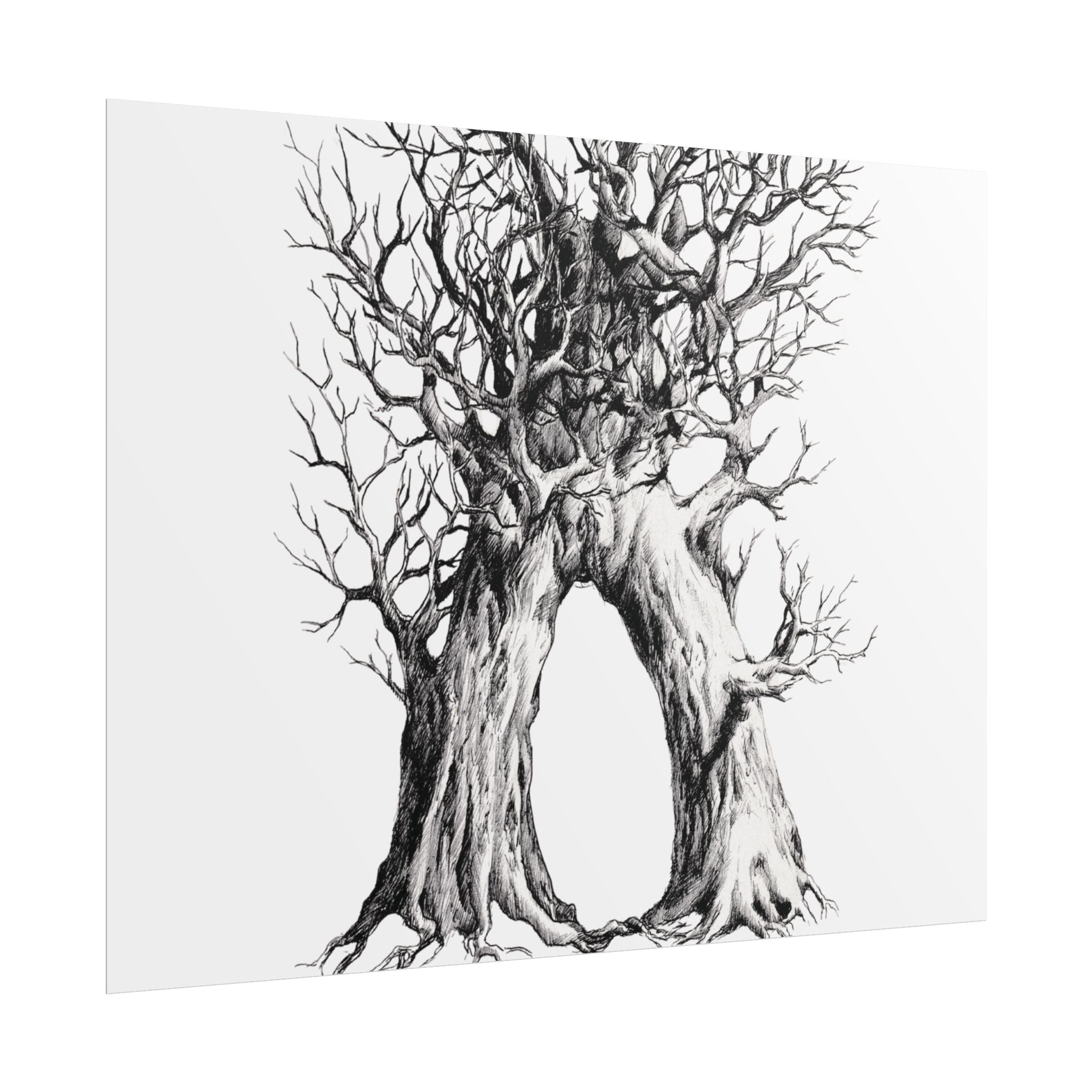 Tree Arch Illustration poster | Hand-drawn black ink botanical art