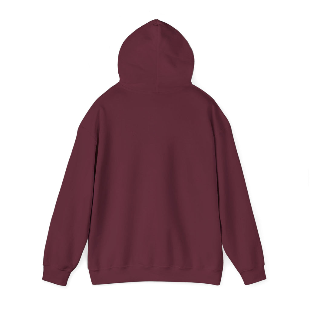 Sunny Retro Sunburst Hoodie | summer aesthetic, coastal vibes