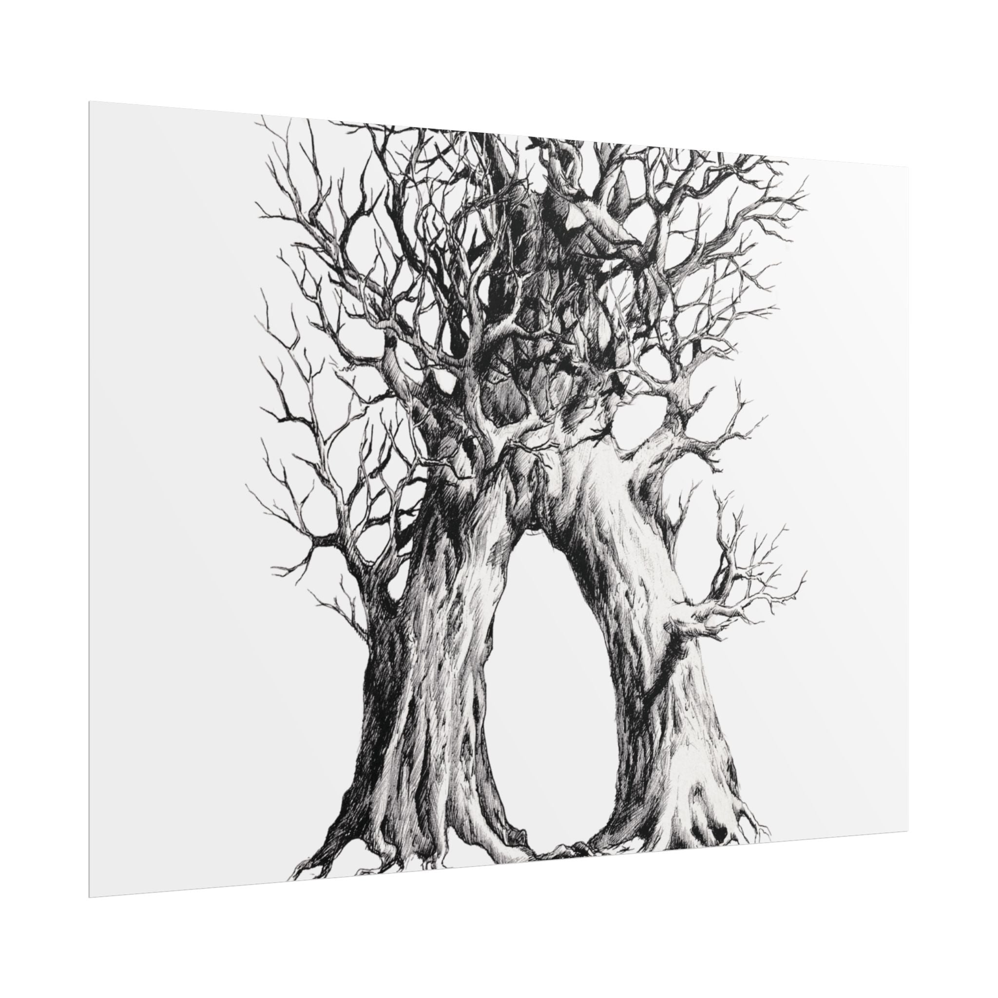 Tree Arch Illustration poster | Hand-drawn black ink botanical art