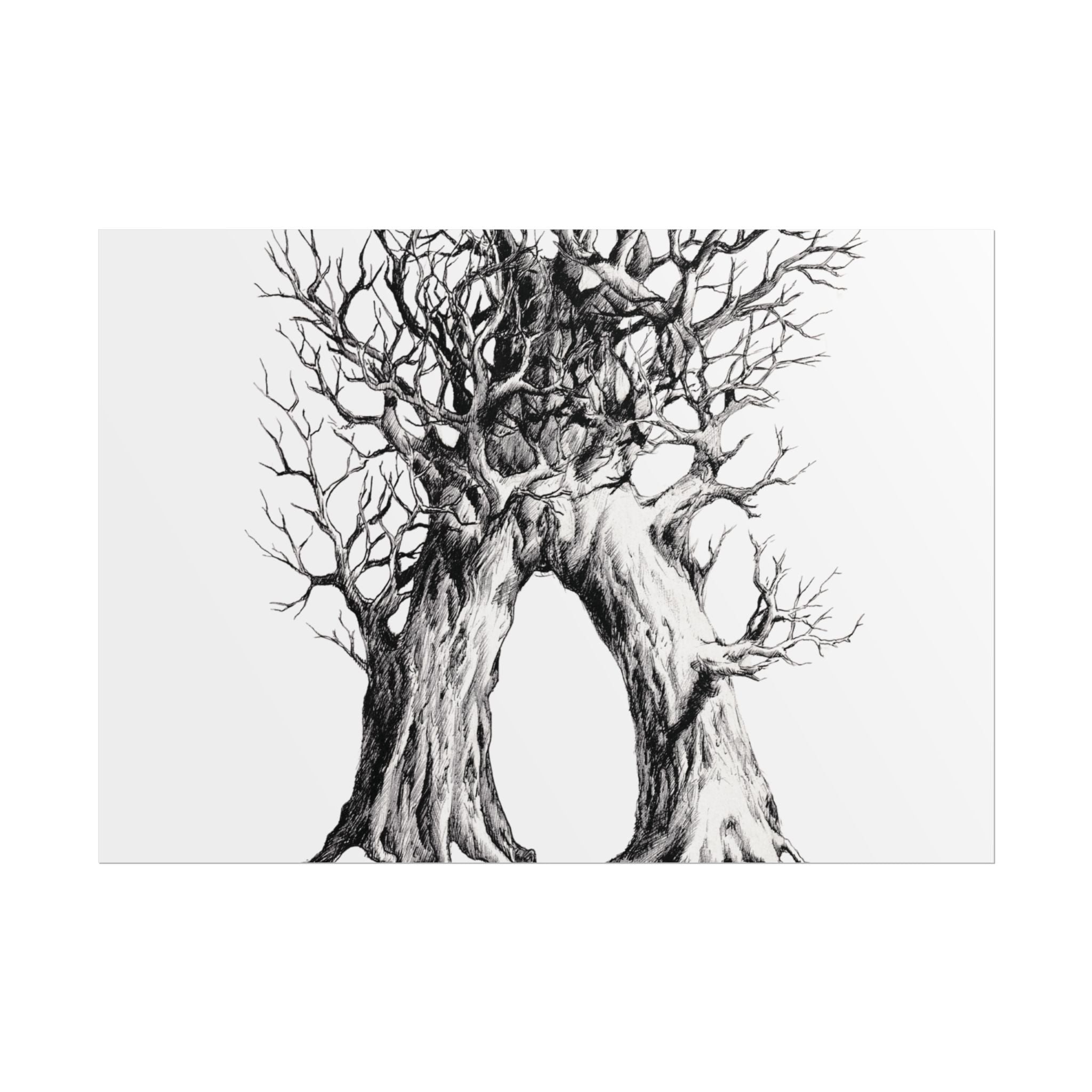 Tree Arch Illustration poster | Hand-drawn black ink botanical art