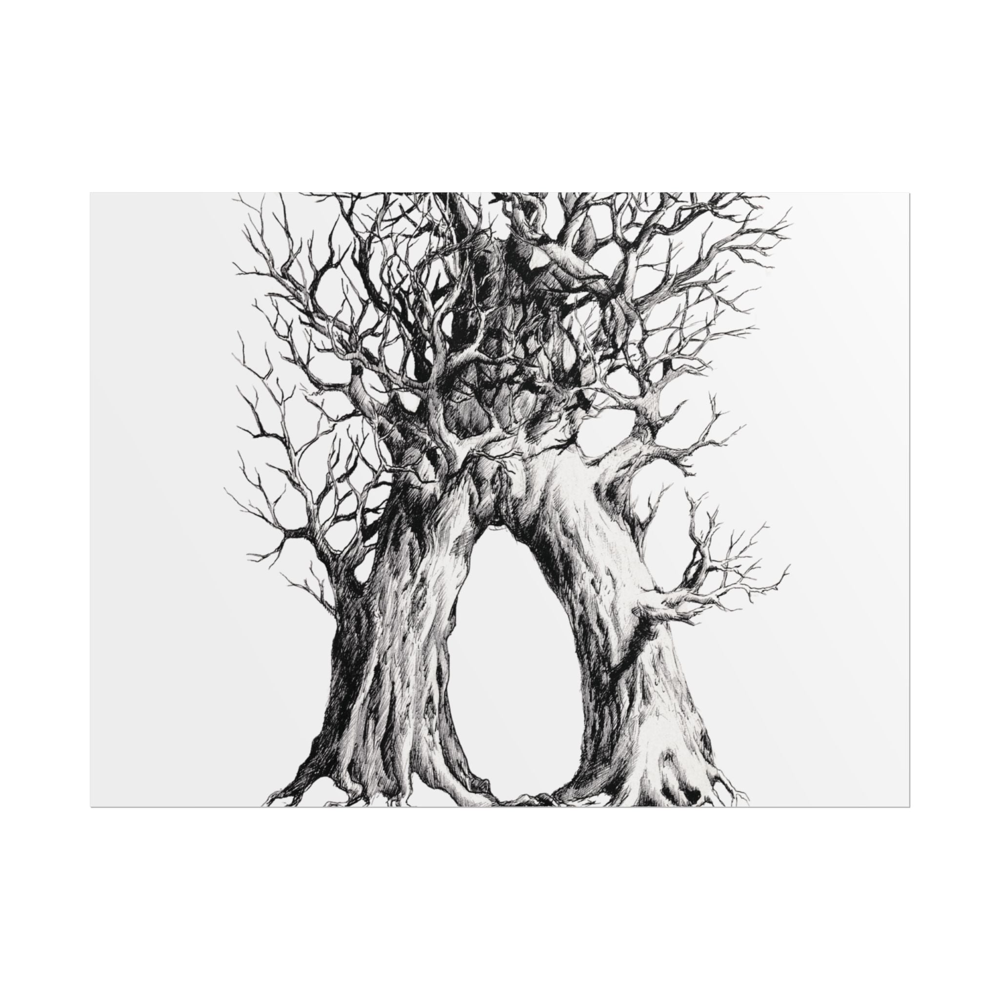 Tree Arch Illustration poster | Hand-drawn black ink botanical art