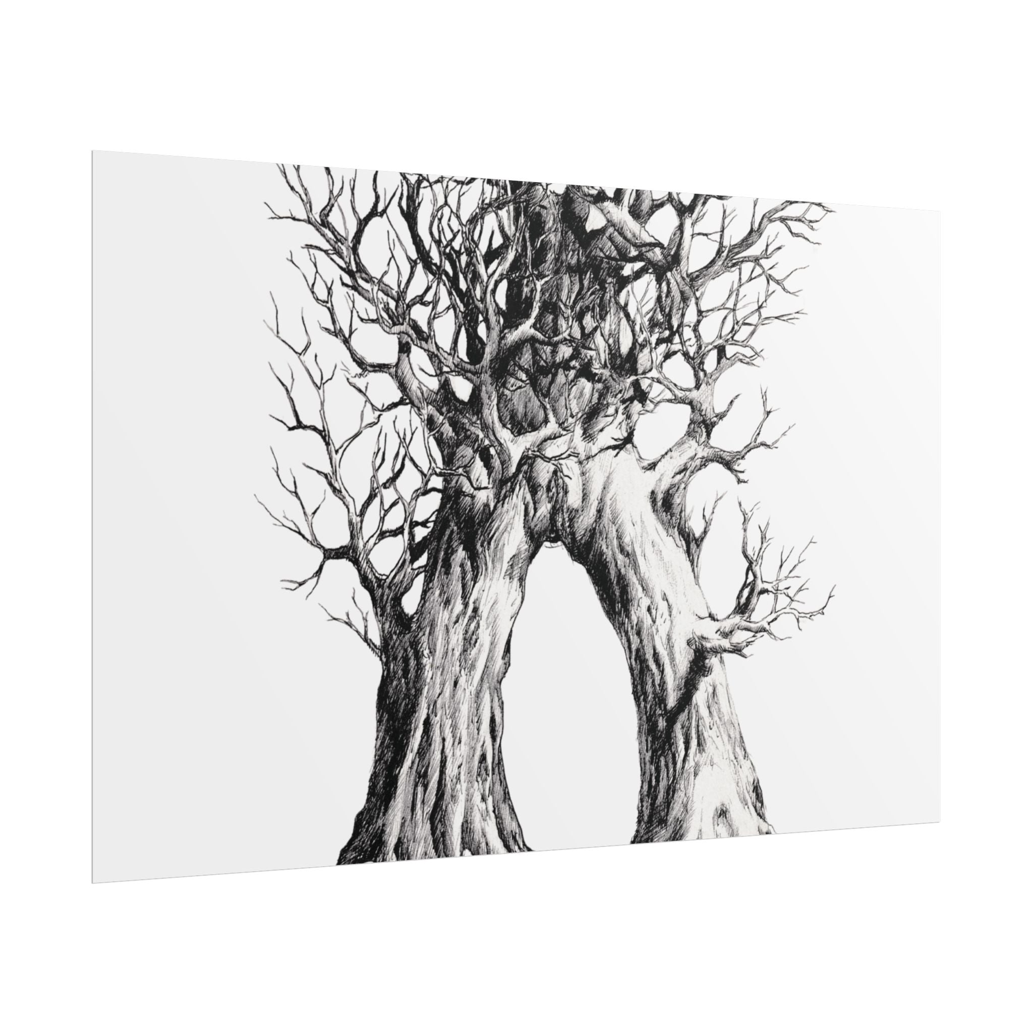 Tree Arch Illustration poster | Hand-drawn black ink botanical art