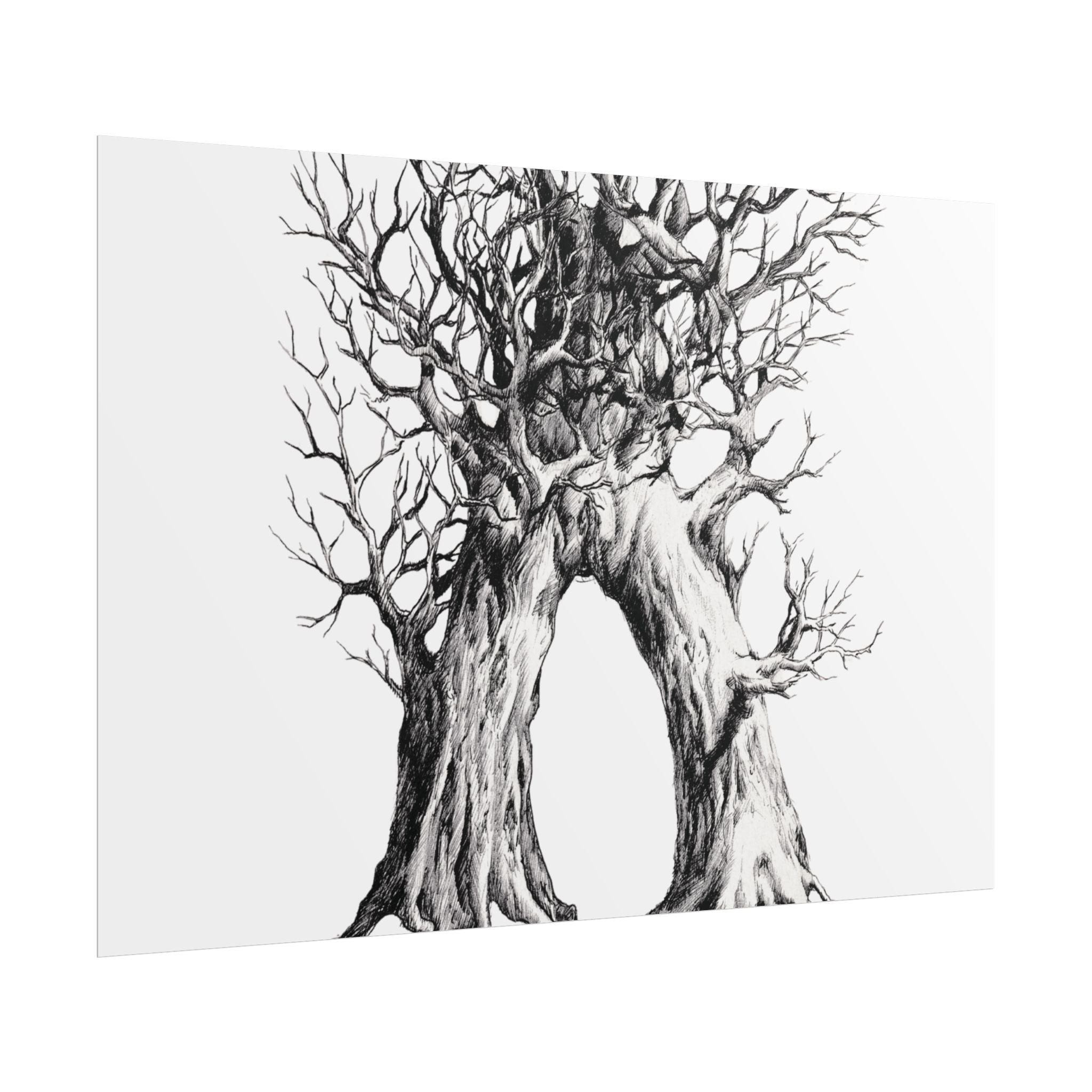 Tree Arch Illustration poster | Hand-drawn black ink botanical art